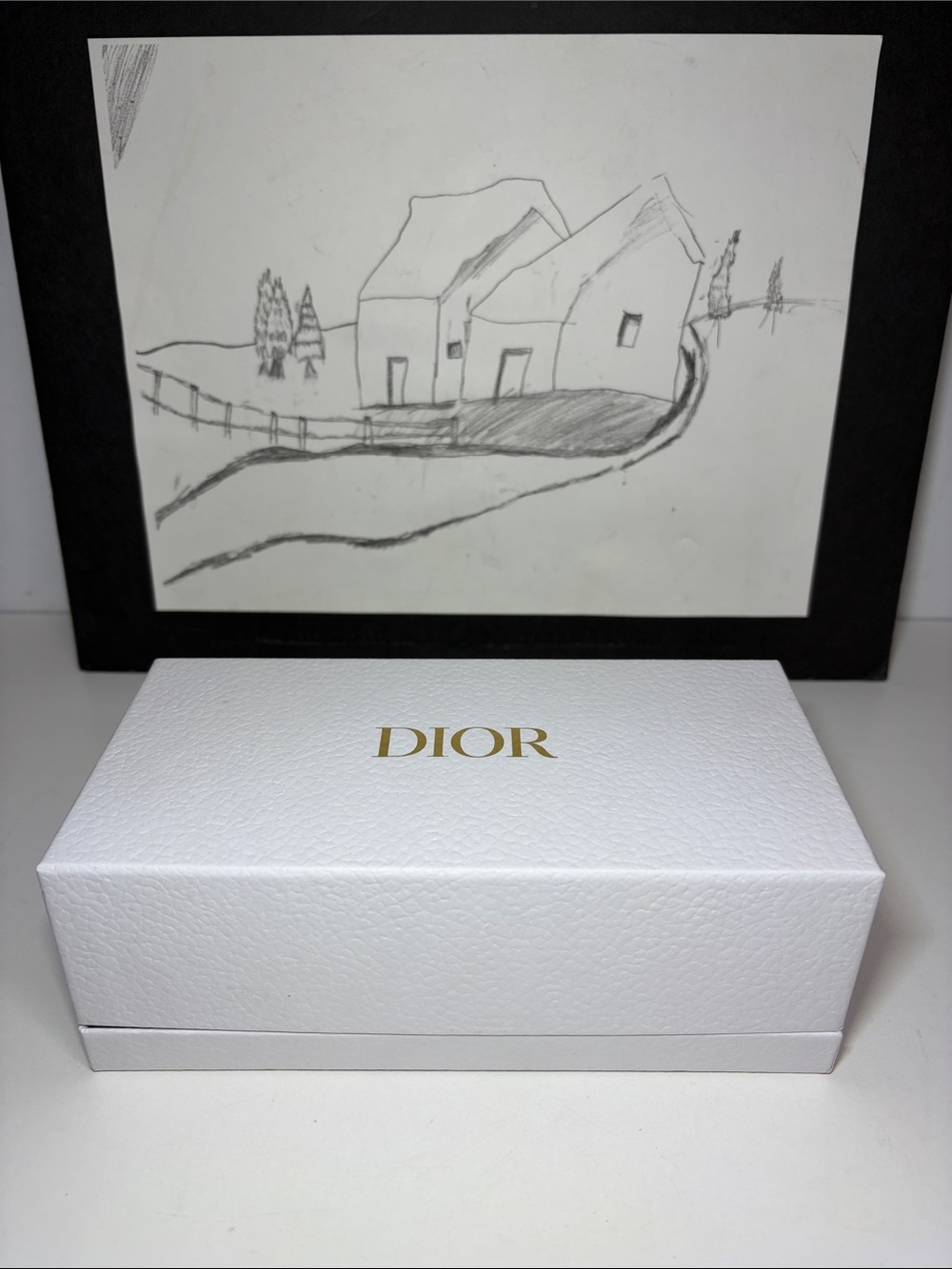 Dior Empty Sunglasses Box
